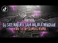 Download Lagu DJ DAPA MALARIA X SATE MABUK MENGKANEE VIRAL TikTok(Slowed+Reverb)