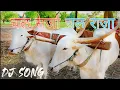 Lagu chal sarja chal raja song🎤 | khillar bail jodi | खिल्लारी बैलाची जोडी | 🎶 चल सर्जा चल राजा गाणे 🎵 |
