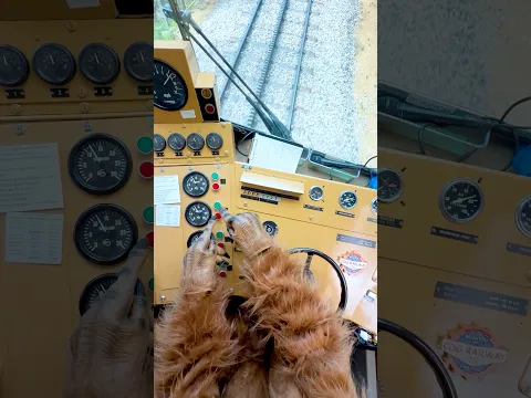 Bigfoot Steals the Pikes Peak Cog Railway!