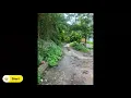 Download Lagu View of Hiking Trail along Bukit Hijau Penang | 槟城绿水山沿途景色
