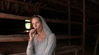 Traveling Cuba: The Valley Of Tobacco – UNTIE THE LINES II #50