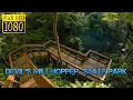 Hiking around the Devil s Millhopper in Gainesville Florida -