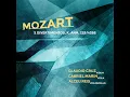 Divertimento, K. Anh. 229/439b, No. 5: I. Adagio (Arr. for Violin, Viola and Cello by Claudio Cruz)