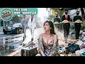 Download Lagu Gadis Miskin Dibuang Suami Dengan Koper, Diremehkan, Ternyata Adik Tiga Bos Miliarder Balik Dendam