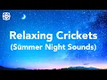 Download Lagu Nachtelijke zomerse natuurgeluiden, krekelgesprekken om 12 uur te slapen