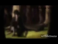Download Lagu Sasuke uchiha amv 《flow sing》
