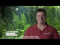 Secrets of the Cenote  | Ocean Stories