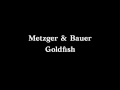 Metzger & Bauer – Goldfish (video clip)