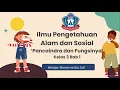 Download Lagu IPAS Bab 1 Kelas 3 - Pancaindra dan Fungsinya