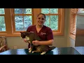 How To Apply Flea Medication On Your Cat