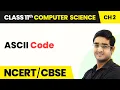 ASCII Code - Encoding Schemes Number System Class 11 Computer Science Chapter 2