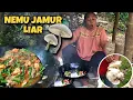 Lagu JAMUR JUMBO DAPAT DARI SAWAH || LANGSUNG DI MASAK BANUNG ‼️