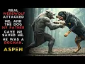 Download Lagu A REAL WEREWOLF ATTACKED ME, AND MY DOG HELPED ME.