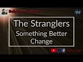 The Stranglers - Something Better Change (Karaoke)