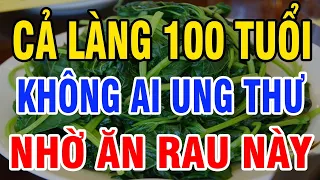Cả làng 100 tuổi không ai ung thư nhờ ăn 10 thứ không ai ngờ tới, càng ăn càng sống thọ