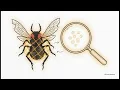 Lesson 85 - loguru Modern Effortless Logging in Python Python Packages Series Uplatz