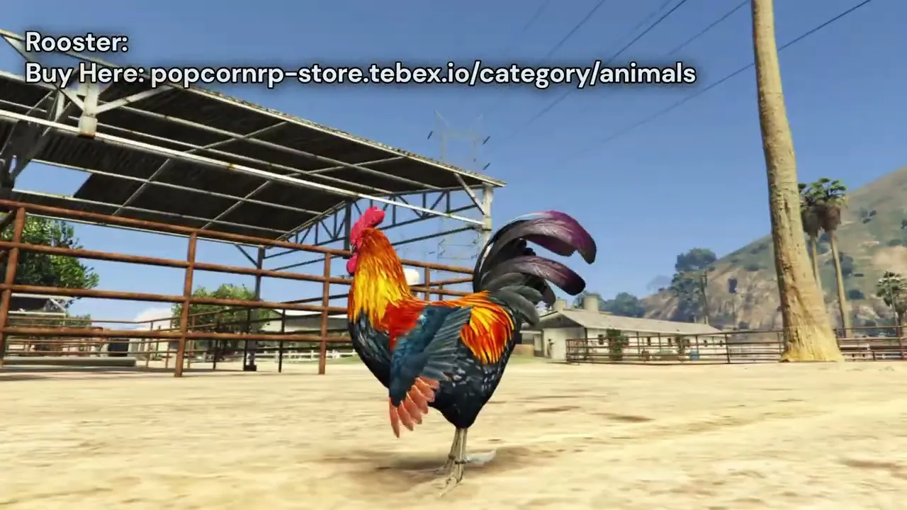 Rooster