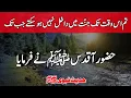 Lagu You cannot enter paradise untill ! Farman e Rasoolﷺ | Best Hadith of Prophet Muhammad | C the Islam