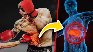 لماذا جسمك لا يتحمل اللكمة في الكبد  صادم  دندنها