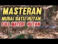 Download Lagu MASTERAN MURAI BATU HUTAN full materi hutan