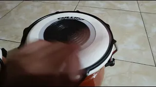                     دندنها