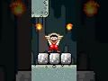 Mario s Fire Flower