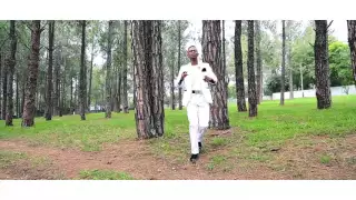 martin pk holy spirit official video 