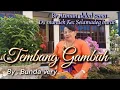 Download Lagu TEMBANG GAMBUH, pendatang baru.by bunda very @userdenbagus135#tembanggambuh.