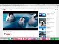 Python code to play movie trailer