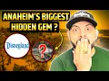 Top 5 things to do in Anaheim California