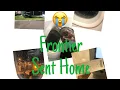 Frontier Flight Attendant F2F Training