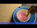 Download Lagu How To Make Air Freshner At Home
