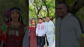Oromo Music Video News 