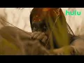 Video di Prey | 20th Century Studios