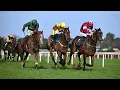 Talk The Talk narrowly prevails in 2026 Tattersalls Ireland Novice Hurdle Leopardstown Full Race