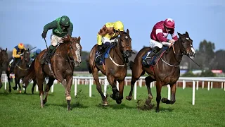 talk the talk narrowly prevails in 2026 tattersalls ireland novice hurdle leopardstown full race