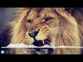 ALEX & RUS ДИКАЯ ЛЬВИЦА Music version HD mp3