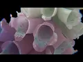 Flume - Helix