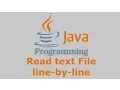 Java Tutorial - Read text File line by line