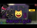 Super Sweets Rares I Got Animal Jam AJPW