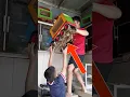 Download Lagu Nemu Sarang Burung Langka Di Belakang Rumah #vlogmini #sarangburung #elzoanvaya #videoshort