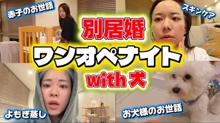 【犬帰還!!】別居婚ワンオペナイトwith犬!!