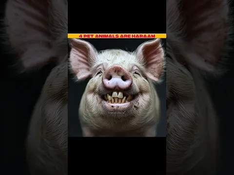 4 pet animals are haraam in Islam #shortvideo #facts #knowledge #islamic #animals #shorts