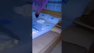                     دندنها