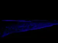 Download Lagu Ultimate Ambience for Deep Relaxation • Nature Sounds for Stress Relief - Deep Focus \u0026 Inner Peace