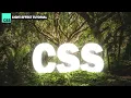 Cool CSS Text Light Effect 5 minutes Tutorial