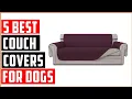 Best Couch Covers for Dogs in 2025 5 Stylish Couch Covers for Pets and Their Owners