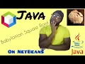 Determine square root using Babylonian method in Java programming