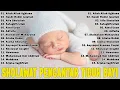 Download Lagu SHOLAWAT PENGANTAR TIDUR BAYI PALING MUSTAJAB