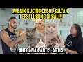 Download Lagu GELO! PABRIK KUCING CEBOL SULTAN TERSELUBUNG DI BALI! LANGGANAN ARTIS-ARTIS  #KINGOFTHEJUNGLE